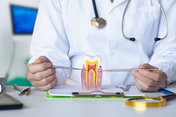 Best Emergency Treatment for Dental Infections or Abscesses in Ballwin, MO